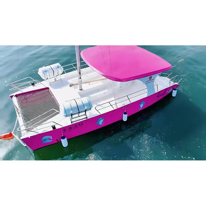 30ft Catamaran تجاری